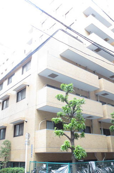 ライオンズマンション箱崎町 
