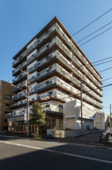 ＫＯＥＮＪＩ　Ｃｒｏｓｓｏｖｅｒ 