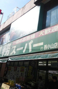 Ｃａｍｅｌｌｉａ　洗足　Ｅａｓｔ 