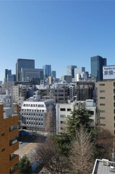 ＭＯＤＩＥＲ　ＮＩＨＯＮＢＡＳＨＩ　ＮＩＮＧＹＯＣＨＯ 