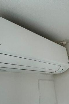 ＴＲＵＳＴ　Ｓｈｉｎ－ｏｋａｃｈｉｍａｃｈｉ 