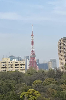 サンウッド広尾 
