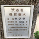 コリーヌ恵比寿 