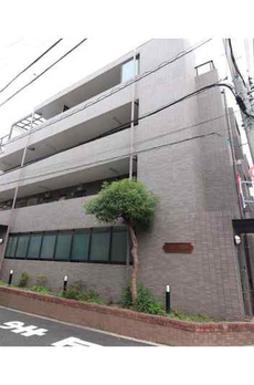 コスモフラワー 