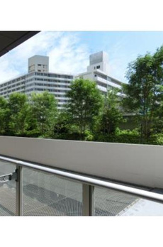 ＴＨＥ　ＴＯＫＹＯ　ＴＯＷＥＲＳ　ＭＩＤＴＯＷＥＲ 