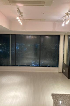 シティタワーズ豊洲ザ・ツイン 