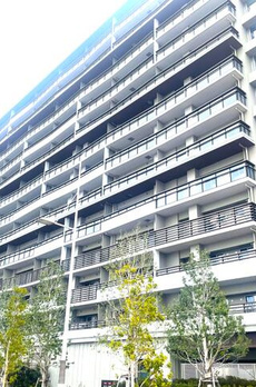 ＨＡＲＵＭＩ　ＦＬＡＧ　ＶＩＬＬＡＧＥ　Ｂ１１２１ 