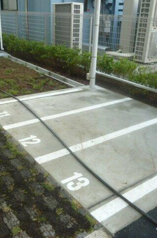 フレンシア菊川 