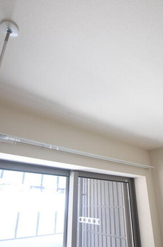 Ｅｓｔｅｒｌａ　Ｒｏｐｐｏｎｇｉ 