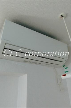 ＬａｕｔＣｕｒｒｅｎｔ　（ラウカレント） 