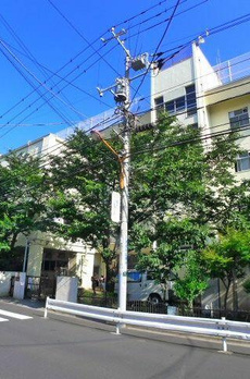 アークステラ菊川 