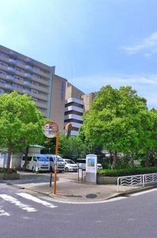 アークステラ菊川 