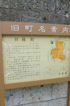 Ｌａ・Ｂｅｌｌｅｄｏｎｎｅ 