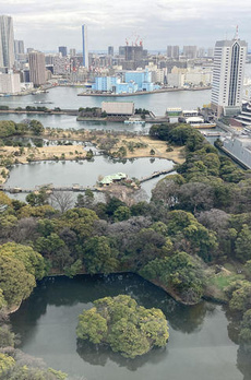 ＴＯＫＹＯ　ＴＷＩＮ　ＰＡＲＫＳ　ＲＩＧＨＴＷＩＮＧ 