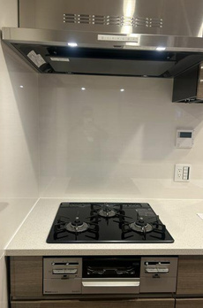 ブランズ牛込柳町 