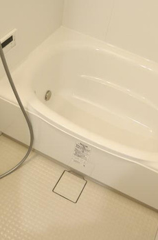 ヌフシストキオ 