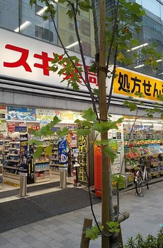 ウィステリア日本橋馬喰町 