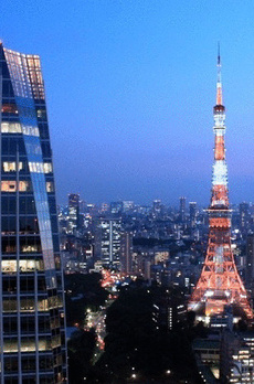 愛宕グリーンヒルズフォレストタワー 