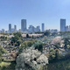 南青山マスターズハウス 