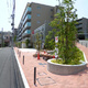 Ｈｉｌｌ　Ｆｌａｔ　Ｏｓａｋｉ 