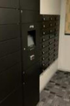 ディオスプラド 