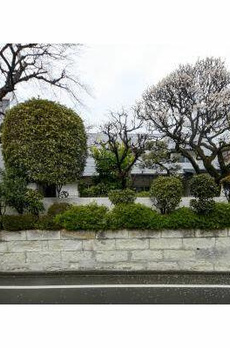 代田４丁目戸建 