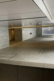 ウェリス有栖川 