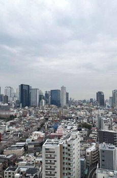 パークタワー東中野グランドエア 