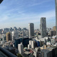ＴＨＥ　ＴＯＫＹＯ　ＴＯＷＥＲＳ　ＳＥＡＴＯＷＥＲ 