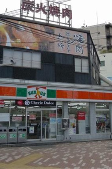 ステージグランデ錦糸町 