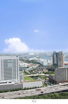 マンション 