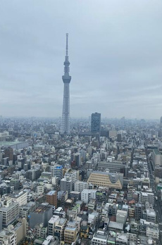 ブリリアタワー東京　Ｂｒｉｌｌｉａ　Ｔｏｗｅｒ東京 