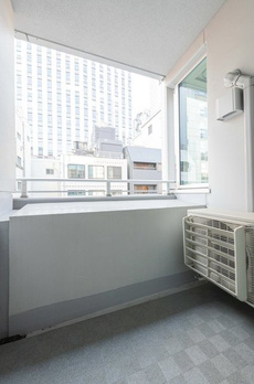 ミレアコート銀座プレミア 