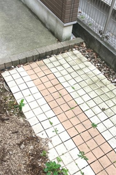 貫井戸建 
