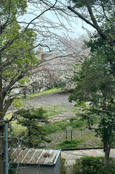 グランドメゾン代官山　ＴＨＥ　ＰＡＲＫ 