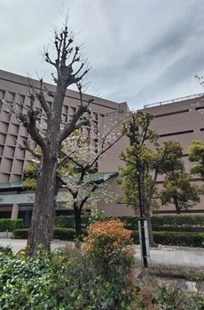 プレジリア銀座ＥＡＳＴ 