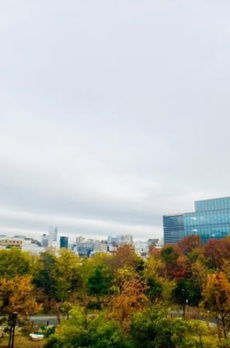 グランマルジュ市ヶ谷 