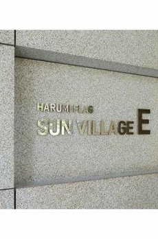 ＨＡＲＵＭＩ　ＦＬＡＧ　ＳＵＮ　ＶＩＬＬＡＧＥ 