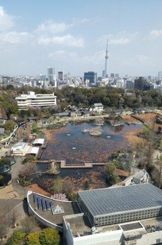 シティタワー上野池之端 