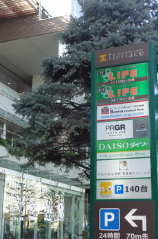 カステリーナ 