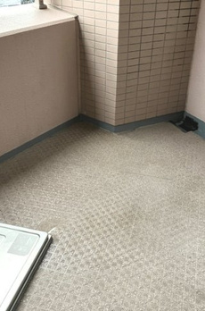 クリオ目白台壱番館 