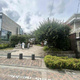 Ｇｒａｎｄ　Ｐｅａｋ　Ｗａｓｅｄａ 