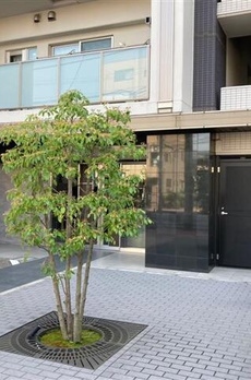 アドバンスクレール田端新町 