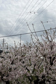 前原町戸建 