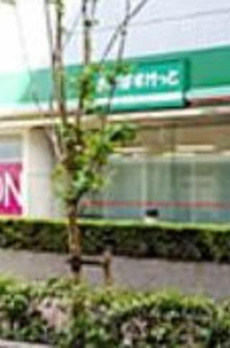 エルレナート新富町 