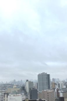 ステーションフロントタワー 