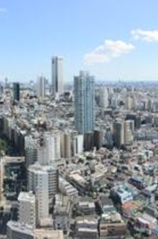 ザ・パークハウス西新宿タワー６０ 