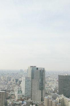 ザ・パークハウス西新宿タワー６０ 