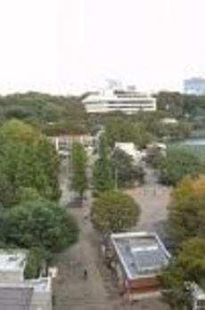 池之端パークハイツ 