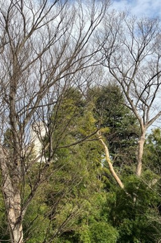 Ｂｒｉｌｌｉａ小金井桜町 